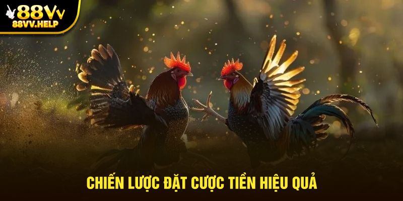 Chiến lược đặt cược tiền hiệu quả