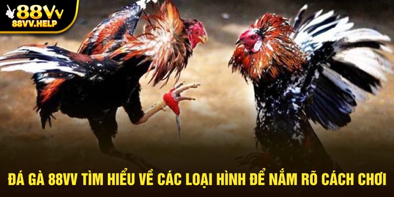 Tìm hiểu về các loại hình để nắm rõ cách chơi